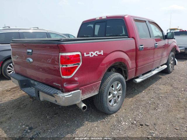 2014 FORD F-150 1FTFW1EF2EKD03093 Photo 3
