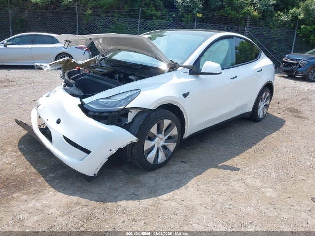 2021 TESLA MODEL Y 5YJYGDEE2MF191938 Photo 1