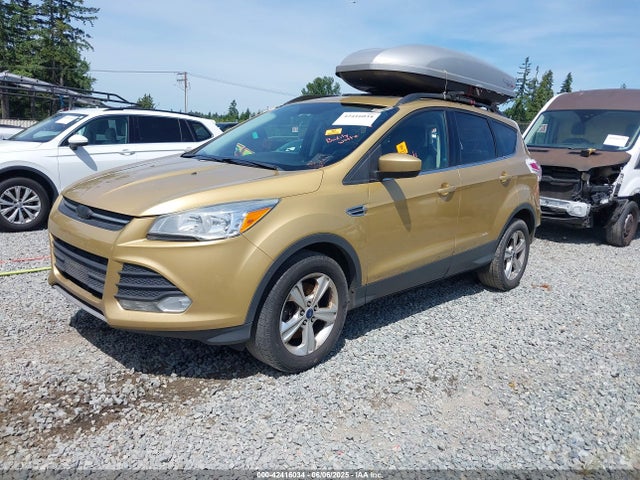1FMCU9G94FUA09601 Ford Escape