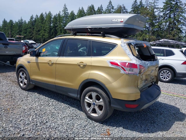 1FMCU9G94FUA09601 Ford Escape