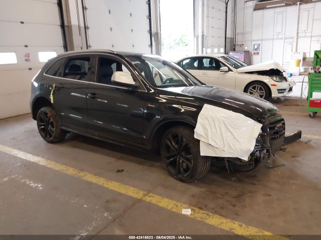 2014 AUDI SQ5 WA1CGAFP2EA093926 Photo 0