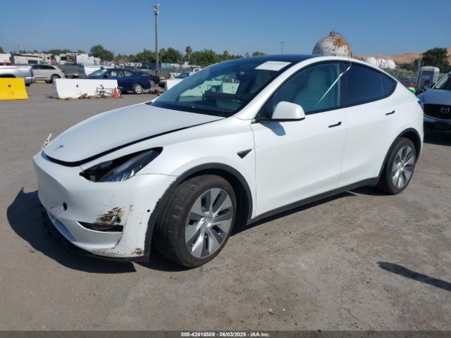 2021 TESLA MODEL Y 5YJYGDEE0MF093409 Photo 1