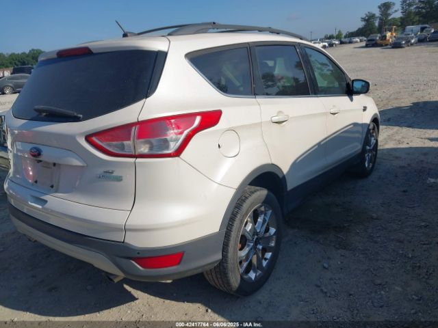 1FMCU0GXXEUB59964 Ford ESCAPE SE