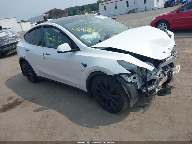 2023 TESLA MODEL Y 7SAYGDEE6PF668863 Photo 0