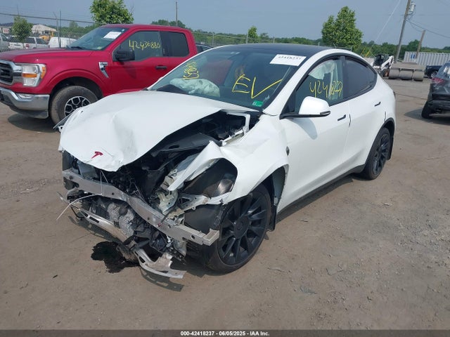 2023 TESLA MODEL Y 7SAYGDEE6PF668863 Photo 1