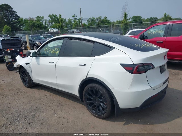 2023 TESLA MODEL Y 7SAYGDEE6PF668863 Photo 2