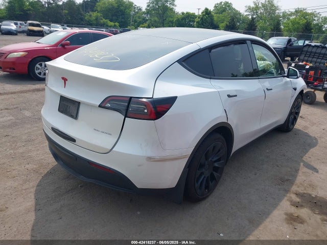 2023 TESLA MODEL Y 7SAYGDEE6PF668863 Photo 3