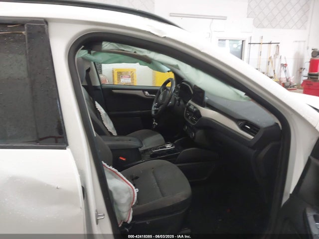 1FMCU9G61MUA32742 Ford dragon di tc