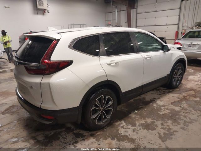 2020 HONDA CR-V 2HKRW1H88LH423566 Photo 3