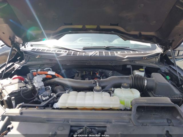 1FTFW3LD1RFA06621 Ford F-150 Xlt