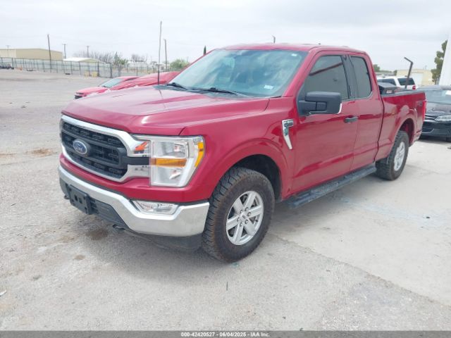 1FTFX1E51MKE66465 Ford F-150 Xlt