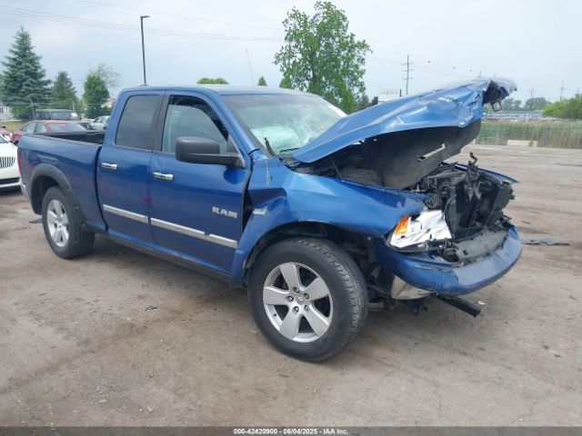2010 DODGE RAM 1500 1D7RV1GT2AS177174