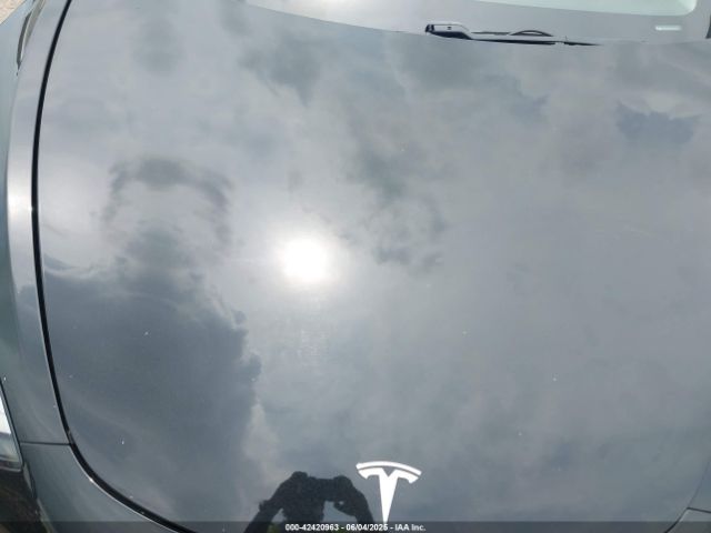 2019 TESLA MODEL 3 5YJ3E1EB6KF385342 Photo 9