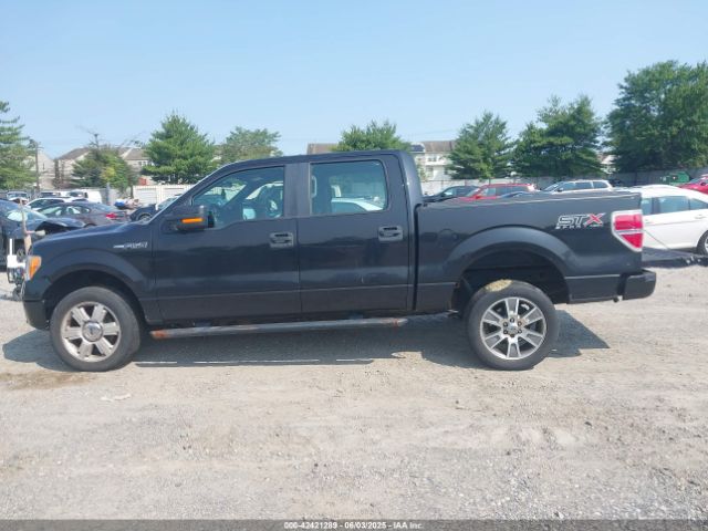 1FTFW1EF1EKF67485 Ford F-150 Stx