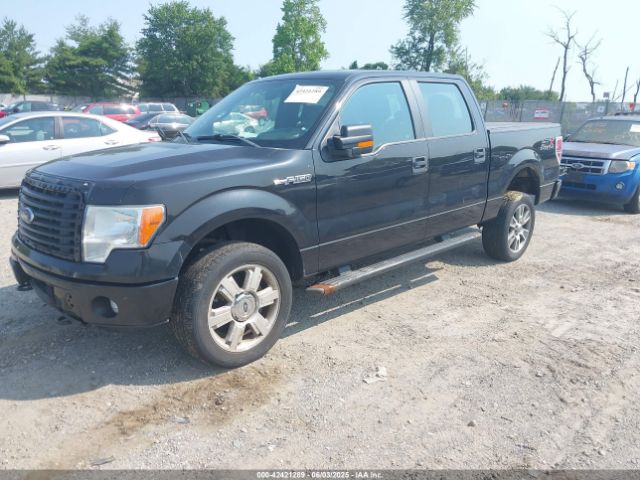 1FTFW1EF1EKF67485 Ford F-150 Stx