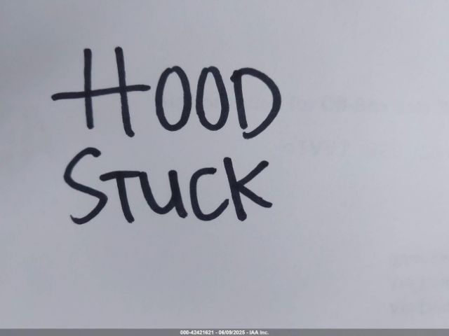 2023 TOYOTA 4RUNNER JTERU5JR8P6137471 Photo 9