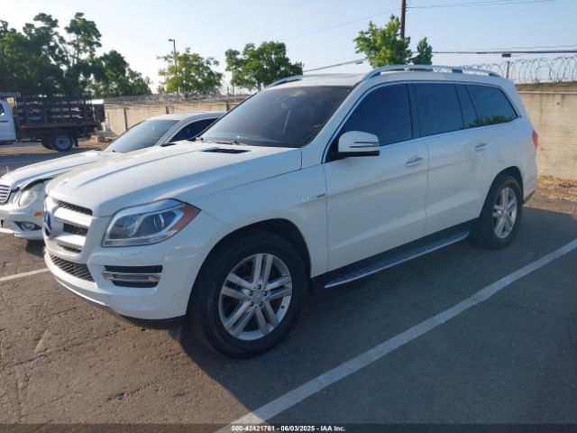 2013 MERCEDES-BENZ GL 450 4JGDF7CE3DA226321 Photo 1