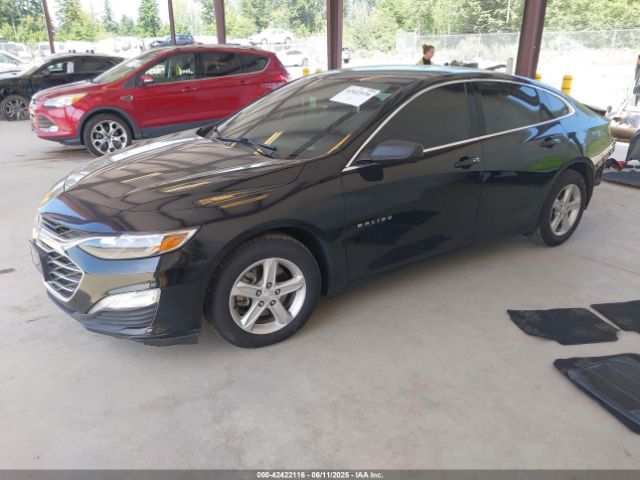 1G1ZC5ST5LF013274 Chevrolet Malibu Fwd 1fl