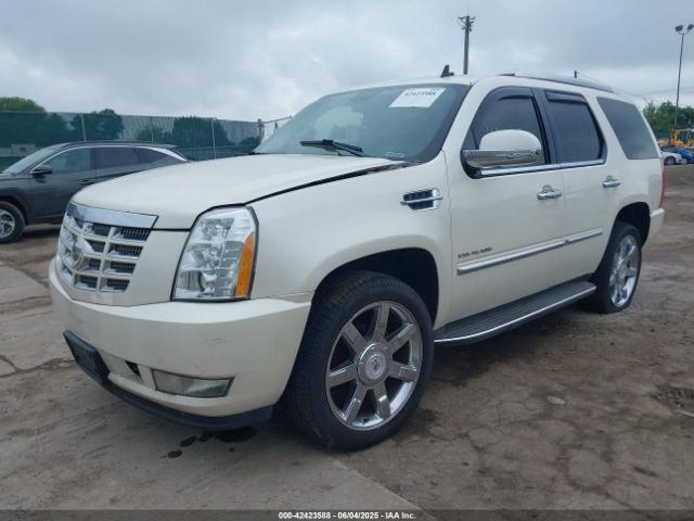2012 CADILLAC ESCALADE 1GYS4BEF4CR120481 Photo 1