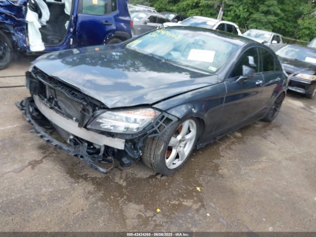 2013 MERCEDES-BENZ CLS 550 WDDLJ9BB5DA065591 Photo 1