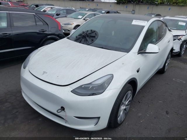 2023 TESLA MODEL Y 7SAYGDEE2PF901590 Photo 1