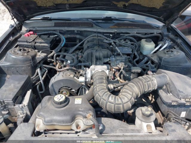 2005 FORD MUSTANG 1ZVFT80N355240212 Photo 9