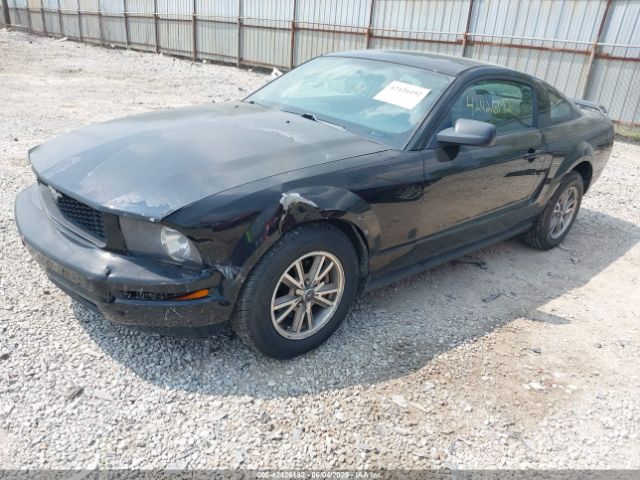 2005 FORD MUSTANG 1ZVFT80N355240212 Photo 1