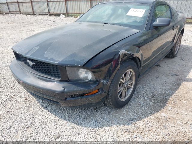 2005 FORD MUSTANG 1ZVFT80N355240212 Photo 5