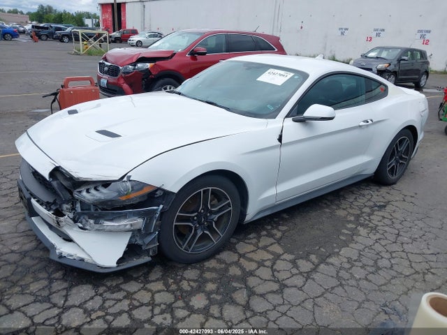 Ford Mustang 2020 1FA6P8TH3L5139199 Image 2