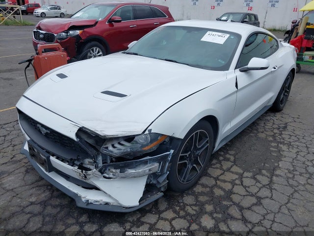 Ford Mustang 2020 1FA6P8TH3L5139199 Image 6