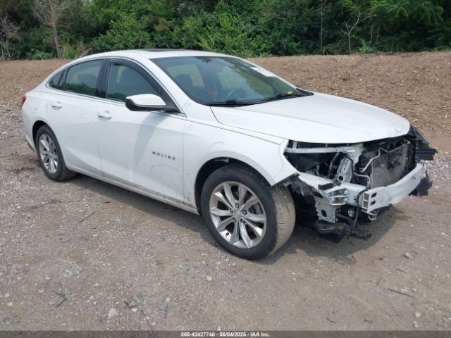 2019 CHEVROLET MALIBU 1G1ZD5ST4KF121171