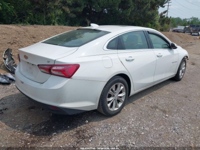 2019 CHEVROLET MALIBU 1G1ZD5ST4KF121171 Photo 3