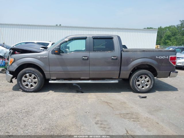 1FTFW1EF4EFA40162 Ford F-150 Xlt
