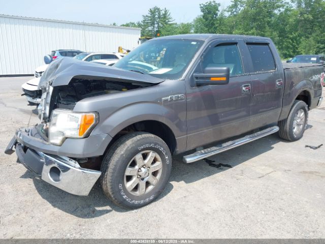 1FTFW1EF4EFA40162 Ford F-150 Xlt