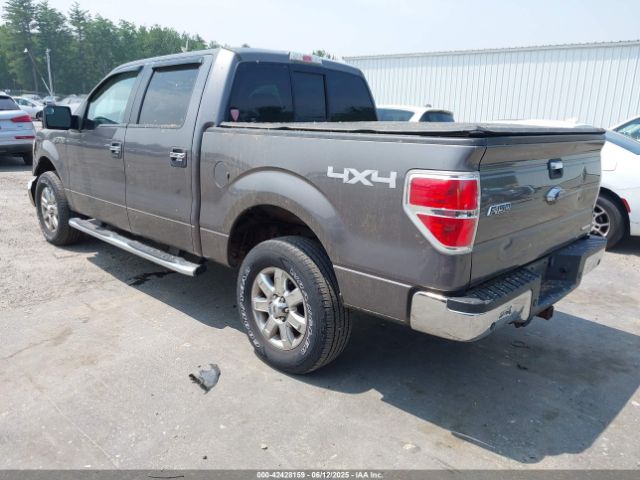 1FTFW1EF4EFA40162 Ford F-150 Xlt