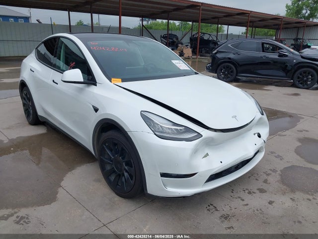 2021 TESLA MODEL Y 5YJYGDEE2MF299721 Photo 0