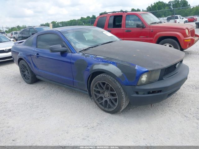 2005 FORD MUSTANG 1ZVFT80N855245440