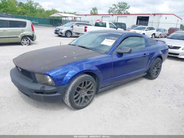 2005 FORD MUSTANG 1ZVFT80N855245440 Photo 1