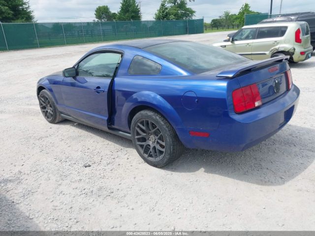2005 FORD MUSTANG 1ZVFT80N855245440 Photo 2