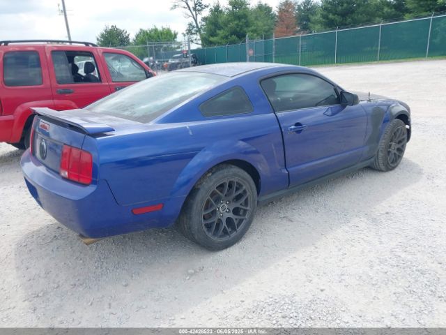 2005 FORD MUSTANG 1ZVFT80N855245440 Photo 3