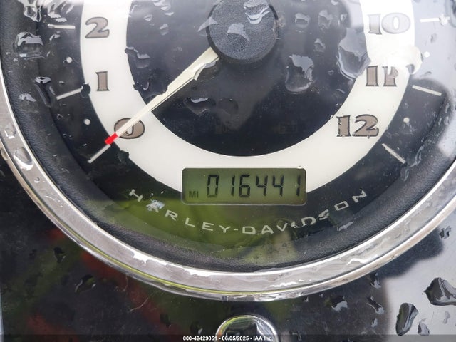 2009 HARLEY-DAVIDSON FLSTN 1HD1JD5139Y063441 Photo 6