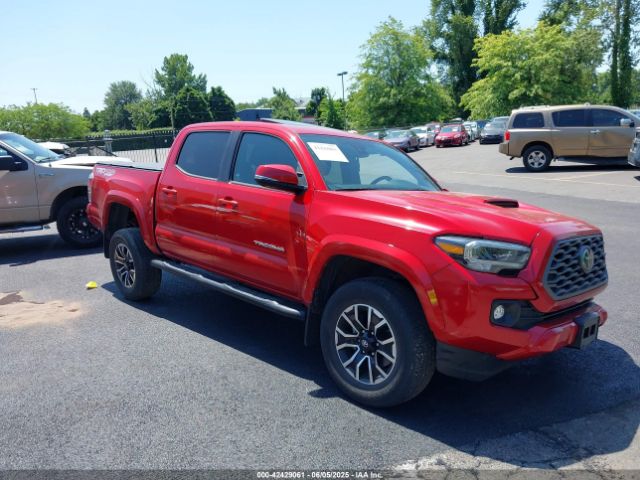 2021 TOYOTA TACOMA 3TMCZ5AN3MM383526
