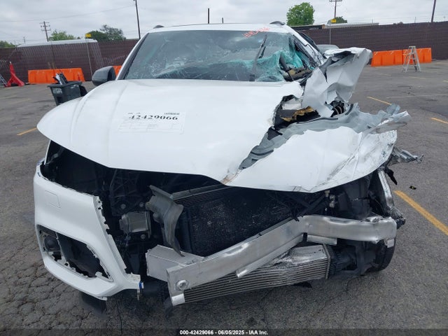 WA1C4AFY1K2012518 Audi 2019