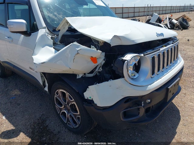 ZACCJBDB1JPG87602 Jeep Renegade