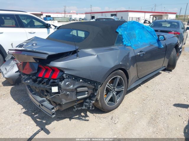 2024 FORD MUSTANG 1FAGP8UH2R5114242 Photo 3
