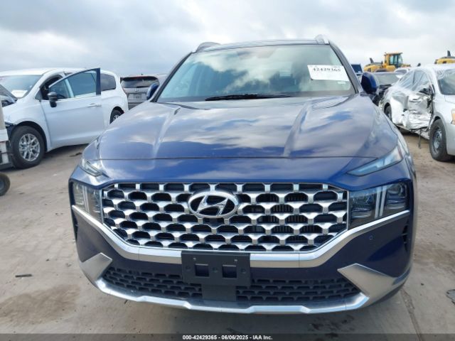 5NMS4DAL9PH541295 Hyundai Santa Fe Limited