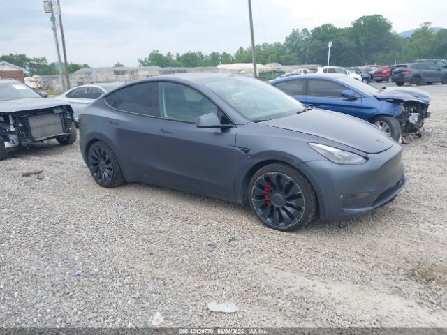 2022 TESLA MODEL Y 7SAYGDEF0NF446700