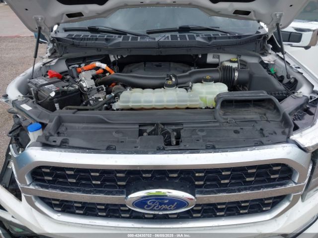 1FTFW1ED3MFB75260 Ford F-150 Platinum