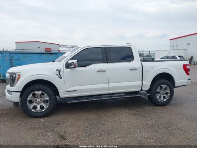 1FTFW1ED3MFB75260 Ford F-150 Platinum