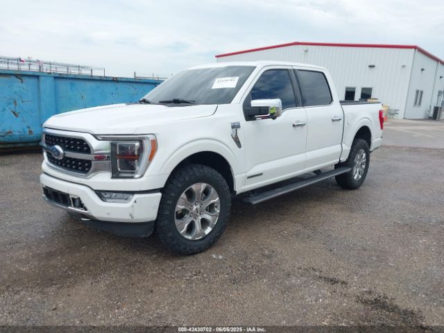 1FTFW1ED3MFB75260 Ford F-150 Platinum